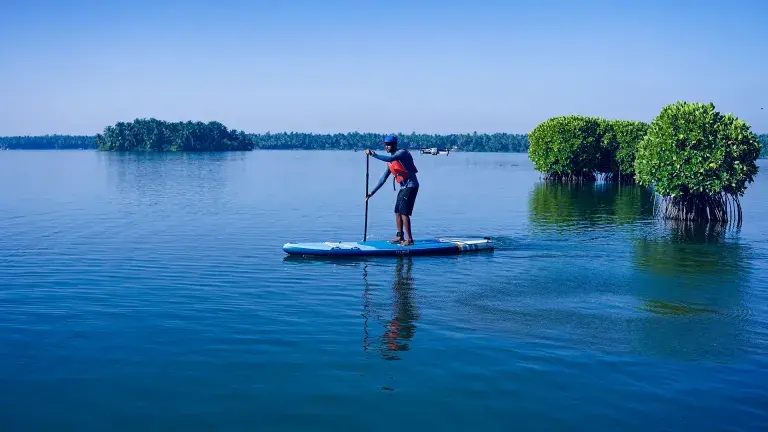 Kavvayi Backwaters & Islands